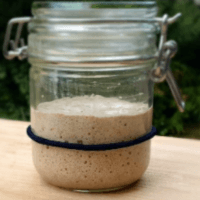 Homemade Sourdough starter in a jar on a wooden plate fully activated and ready to bake with