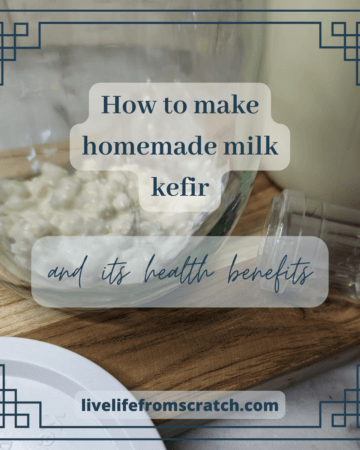 Featured image of the blogpost How to make homemade milk kefir, and its health benefits