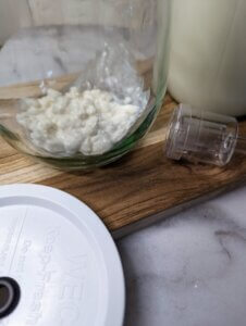 melkkefir korrels in de weckpot naast de deksel, het waterslot en de melkfles met melk op een houten plank