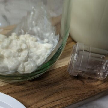 Milk kefir grains in a glass jar next to a bottle of raw milk on a wooden plate