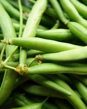 a bunch of green beans