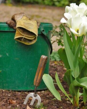 a bucket with gardening tools next to a flower