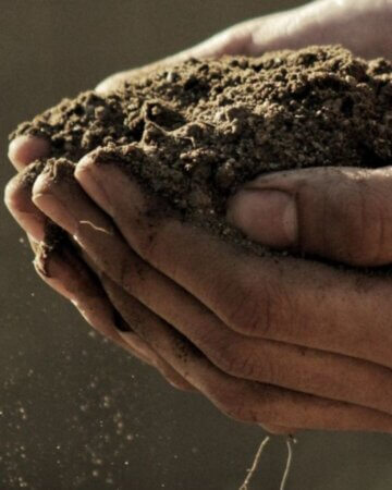 Hands with soil